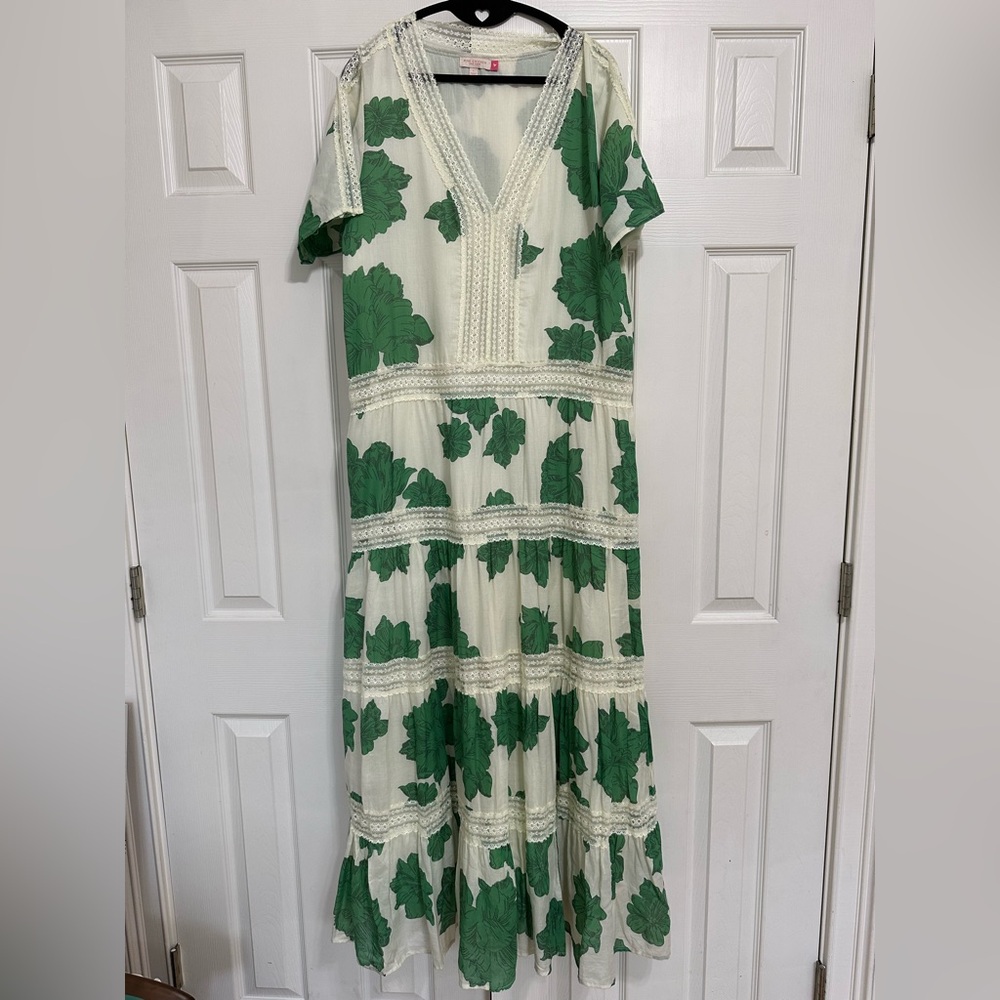 Pink Chicken Maxi dress